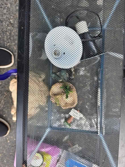 Photo of free Reptile starter set (Raritan Twsp) #3