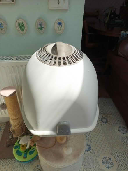 Photo of free Igloo Cat Carrier/Litter Box (City of Bristol BS16) #3