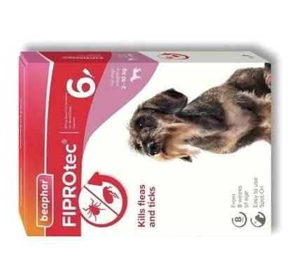 Photo of free Dog Flea treatment (Shenley brook end MK5) #1