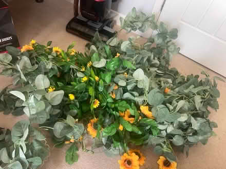 Photo of free Fake foliage & flowers (BN16 3NH) #1