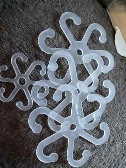 Photo of free Climbing plant stem (Hecky WF16) #1