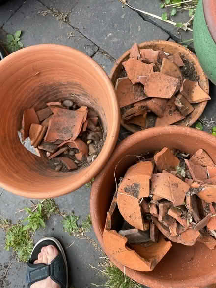 Photo of free Pieces of Terracotta flower pots (Loughborough LE11) #1