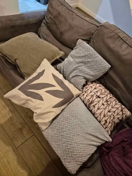 Photo of free Pillows (Littlemore OX4) #1