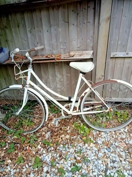 Photo of free Ladies bicycle needs work (Polegate BN26) #1