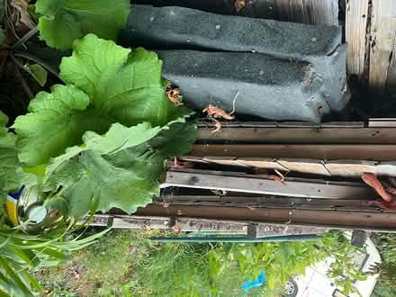 Photo of free 6 x 4 shed dismantled (Bampton OX18) #3