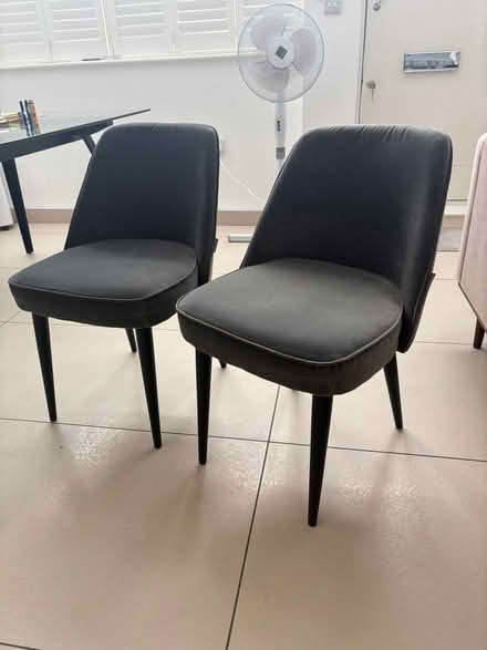 Photo of free Two Dining Chairs (Notting Hill Gate W11) #1