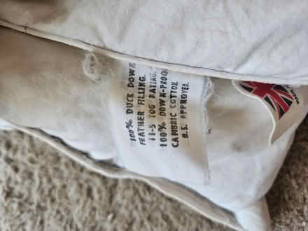 Photo of free 11.5 tog double duvet (Riddlesdown CR8) #3