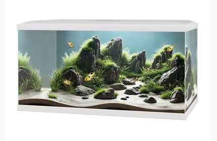 Photo of 60L fish tank with filter etc (Crossgates LS15) #1