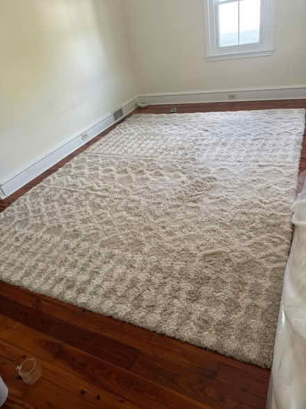 Photo of free rug 9 x 11 or 9 x 12 (Ardmore) #1