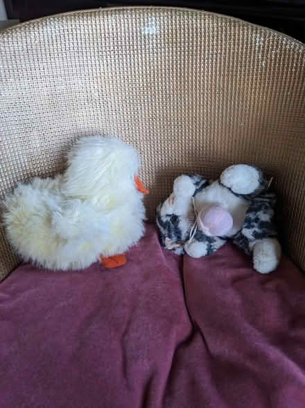 Photo of free 2 Vintage Soft Toys (Fairmilehead EH10) #3