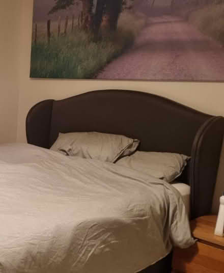 Photo of free Double bed headboard (Ham, Richmond TW10) #1
