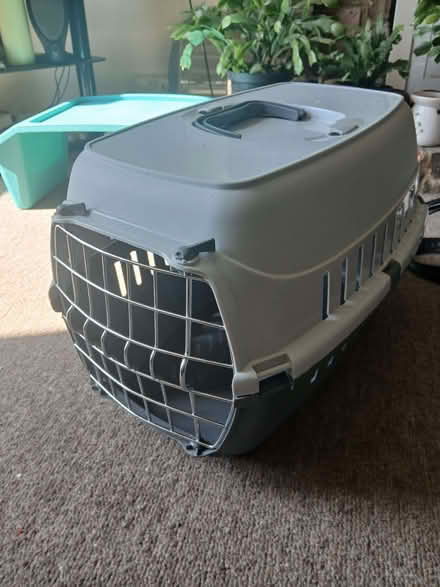 Photo of free Cat carrier (West Hill TN34) #1