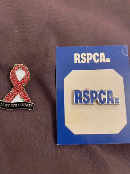 Photo of free Coat or jumper/t shirt pins (Wandsworth SW18) #1