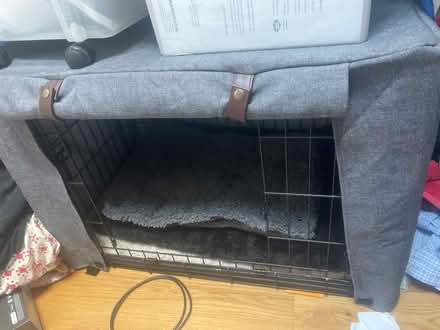 Photo of free Dog “cabana” (U Street NW) #1