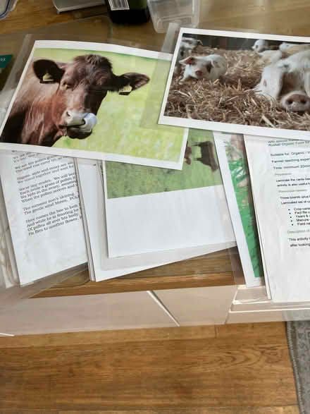 Photo of free Bag of farm teaching material (Summertown OX2) #4