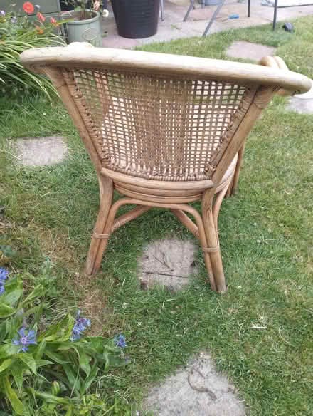 Photo of free Bamboo Chair (Foord CT19) #2