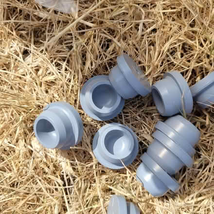 Photo of free Bag of rubber bungs (Horsley GL6) #1