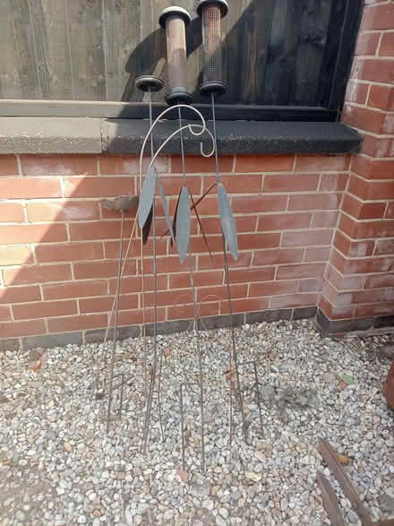 Photo of free Garden stuff (Darley Abbey DE22) #2