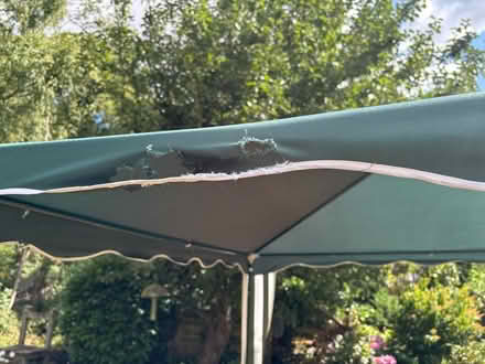 Photo of free 3m garden gazebo (Kenilworth CV8) #4