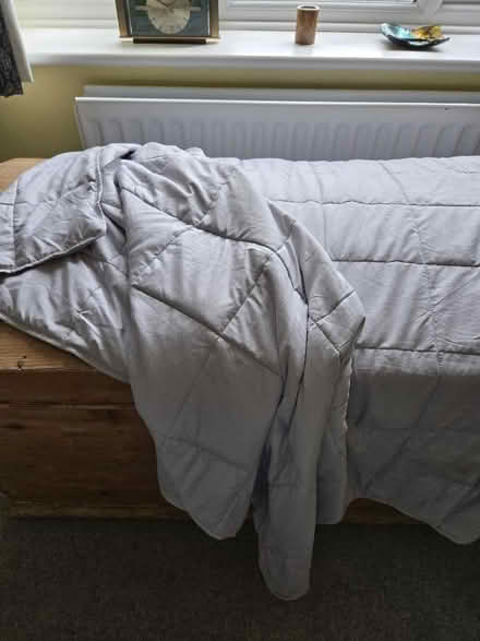 Photo of free Weighted blanket (Heathfield TN21) #1