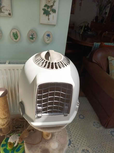 Photo of free Igloo Cat Carrier/Litter Box (City of Bristol BS16) #1