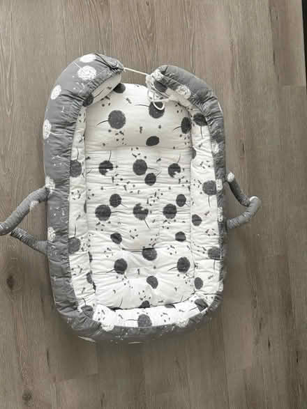 Photo of free Baby sleep nest (Hounslow west TW4) #1