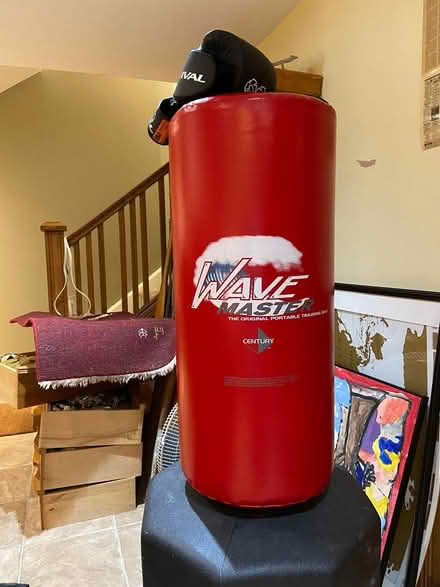 Photo of free free-standing boxing bag (Westboro (near MEC)) #3