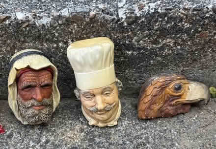 Photo of free bosson heads (Croydon. CR2 9) #2