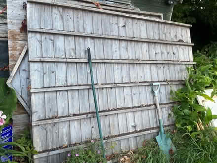 Photo of free 6 x 4 shed dismantled (Bampton OX18) #1