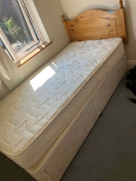 Photo of free Single divan bed with drawers (W5) #1