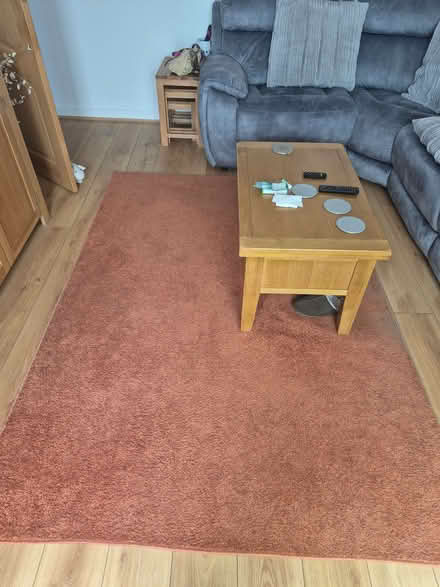 Photo of free Terracotta huge rug (Hangleton BN3) #1