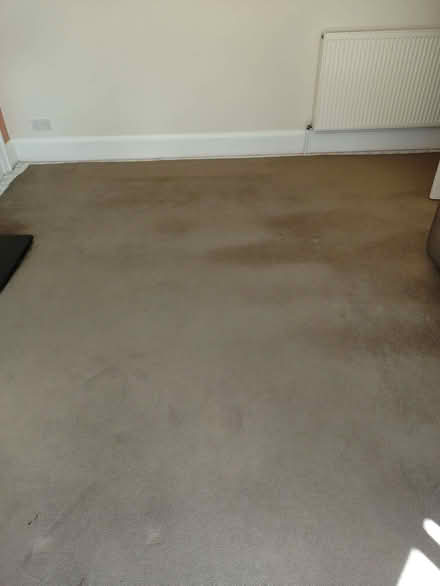 Photo of free Carpet & underlay- 4.6 x 3.3m (Shedden G76) #4