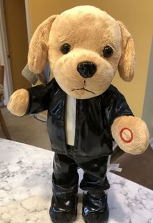 Photo of free vintage Applause Dance Party musical dancing dog [20886] #1