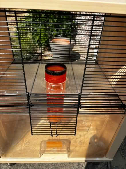 Photo of free Hamster cage and accessories (Broadstairs CT10) #2