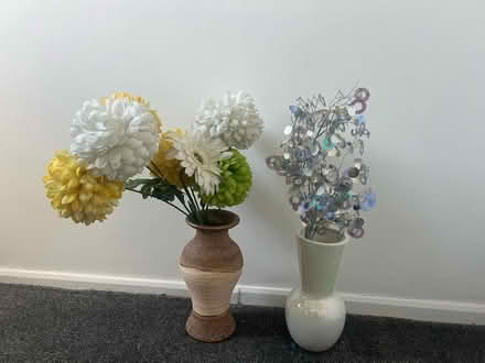 Photo of free Flower Vases (Seacroft, LS14 1BR) #1