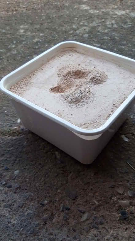 Photo of free Wall plaster powder (Stonydelph B77) #1