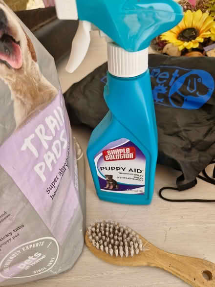 Photo of free Bag full of new puppy pads (Laindon SS15) #2
