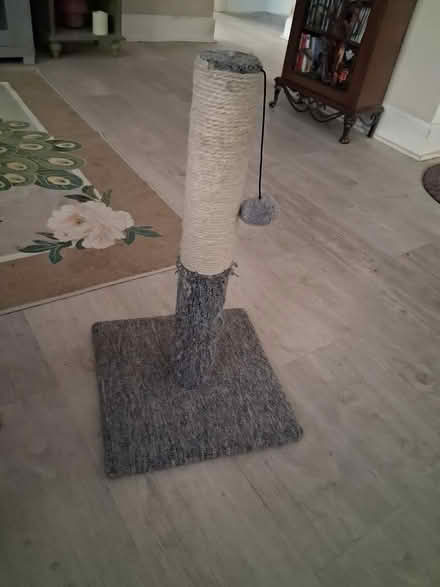 Photo of free Cat scratching post (Snell and Santa Teresa) #1