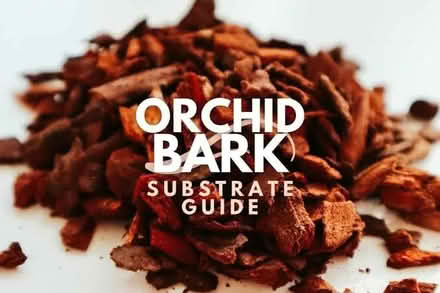 Photo of free clay pebble medium & orchid bark (rogers park) #2