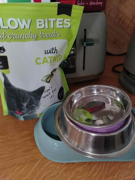 Photo of free Cat bowls and treats (Walsall WS2) #1