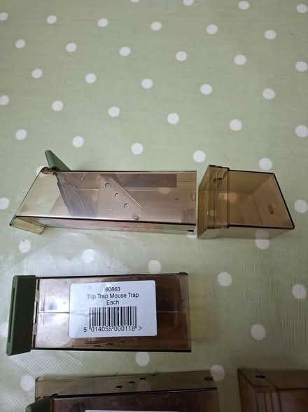 Photo of free Humane Mouse Traps (Twickenham TW2) #2