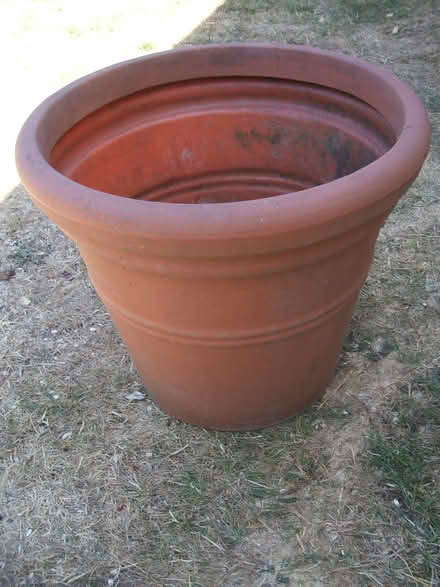 Photo of free Garden planter (Molesey KT8) #2