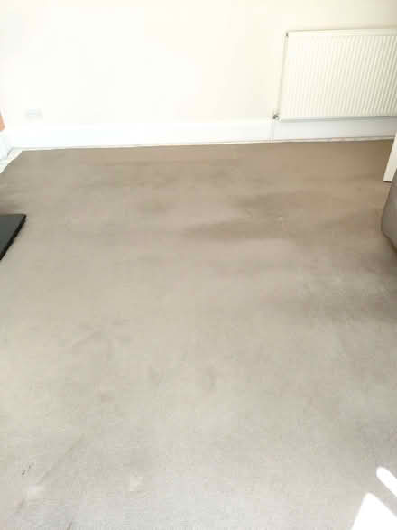 Photo of free Carpet & underlay- 4.6 x 3.3m (Shedden G76) #1