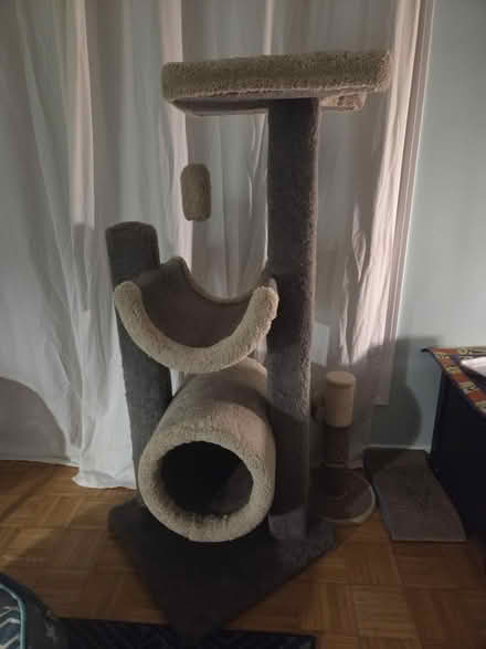 Photo of free 4' cat tree (Foster Farm) #1