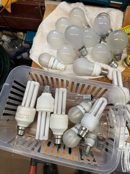Photo of free Light Bulbs (Chirk Bank LL14) #1