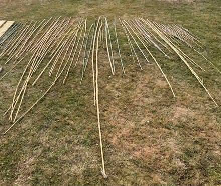 Photo of free Bamboo stakes various sizes (Cold Norton CM3) #1