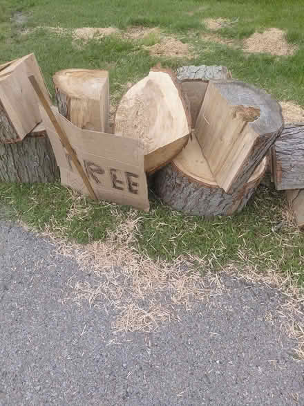 Photo of free fire wood (20250 Sr 4 Marysville) #1