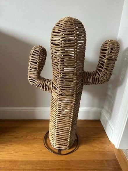 Photo of free Straw cactus (Burlington) #1