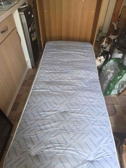 Photo of free Foldable bed (Near Fairlands, Stevenage, SG2) #3