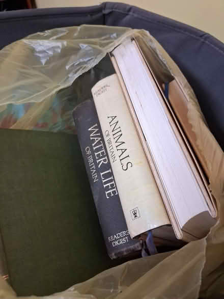 Photo of free Boot Sale Items (Colchester CO4) #3